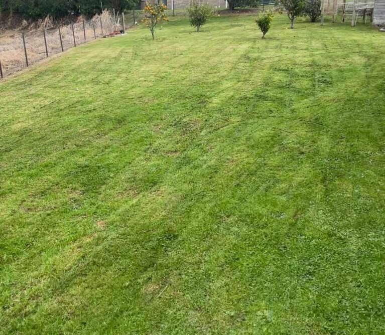 lawn mowing auckland