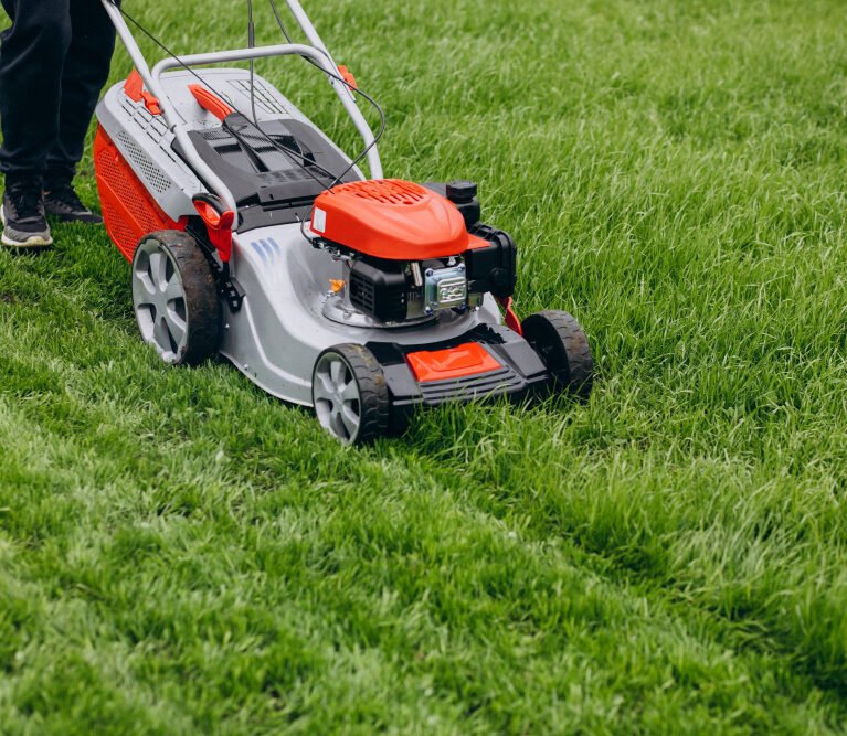 lawn mowing services in auckland