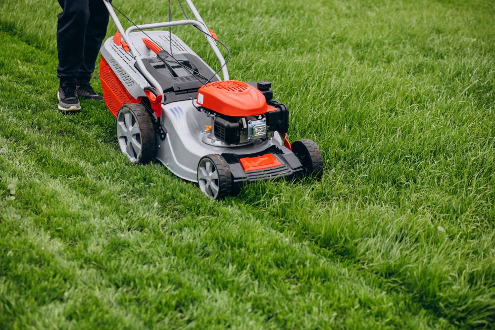 Push mower cutting long grass on a lawn