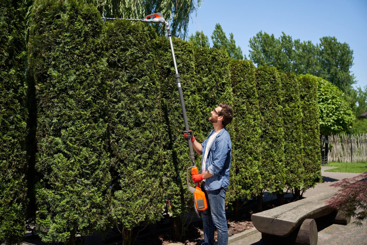 Person using a long-reach hedge trimmer on a tall green hedge