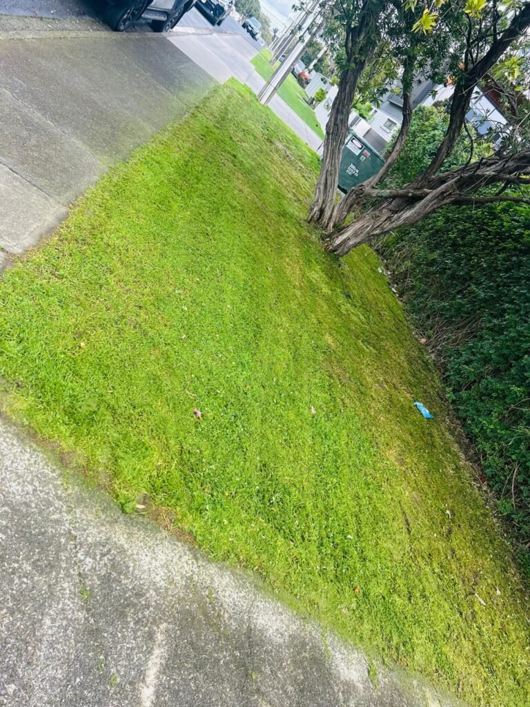 Garden project photo 6