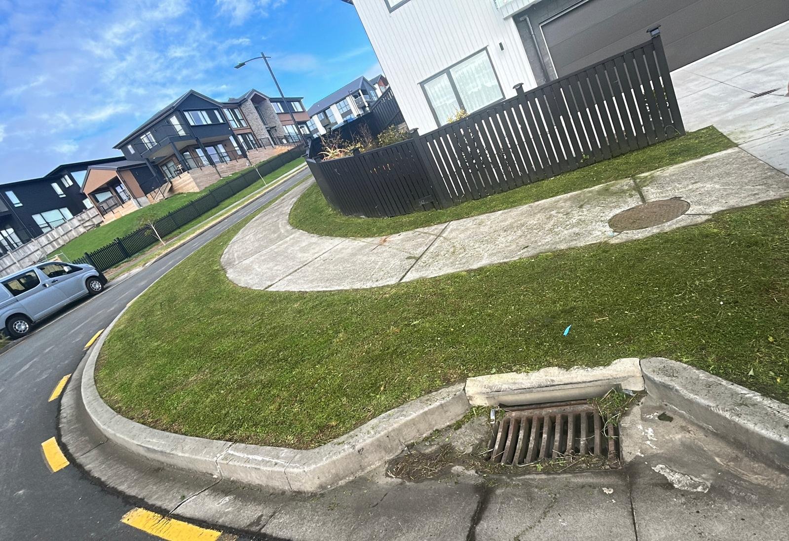 Street-front grass beside a footpath and residential fence