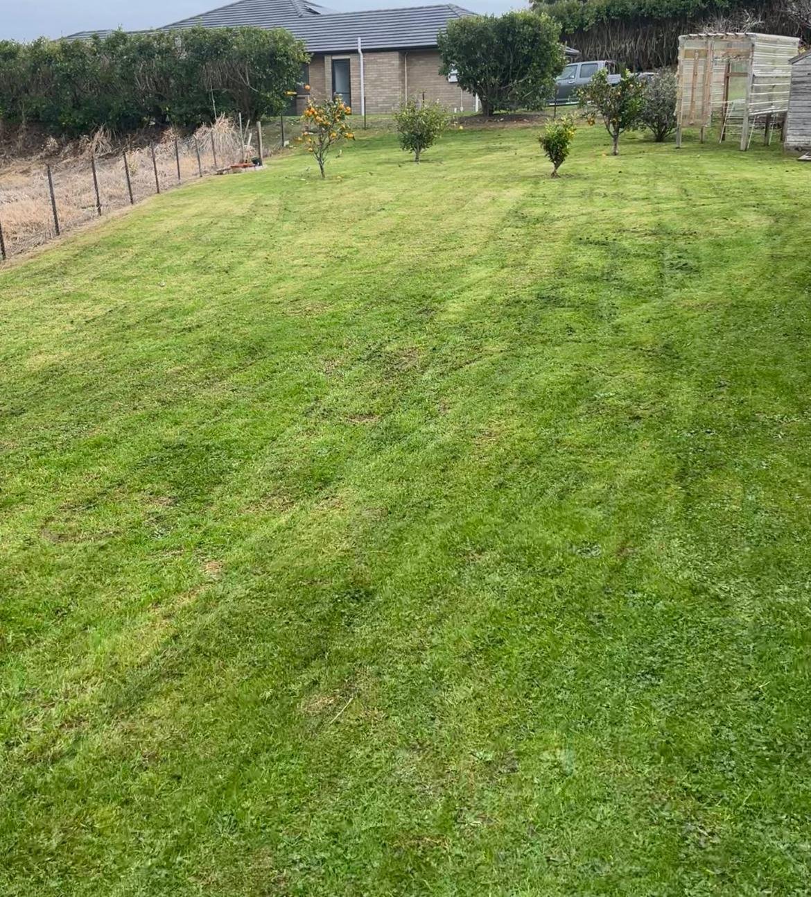 Mown lawn with small trees and planted areas beside a house